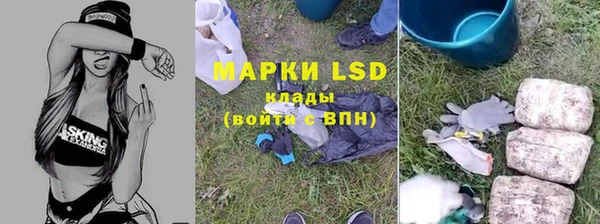 МДПВ Волоколамск
