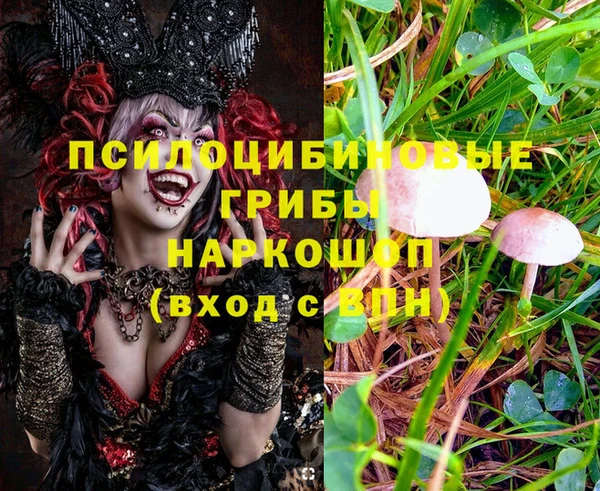 МДПВ Волоколамск