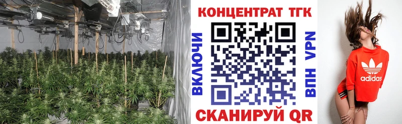 Купить  Ржев  Дистиллят ТГК вейп 
